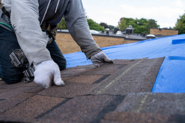 Best Roof Gutter Cleaning  in Covington, WA